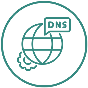 dns-1